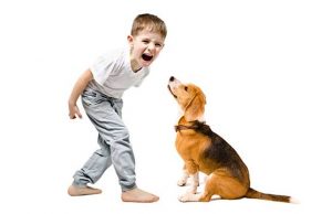 puppy-training-tips
