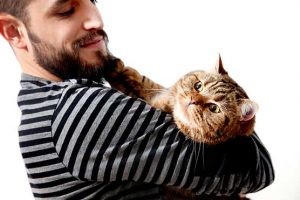 10-Tips-How-to-Get-Along-Better-with-Your-Cat