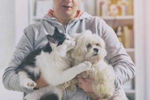 7-Mistakes-cat-owners-make