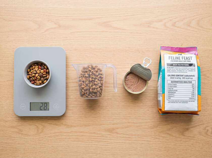 Measuring-the-Right-Wet-and-Dry-Cat-Food-Portions